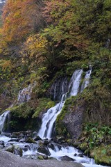 Naklejka na ściany i meble 秋の渓流と滝