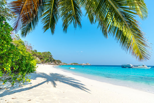 Beach of Similan Koh Miang Island in national park, Thailand