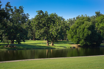 pond in public park