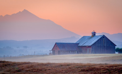 Barn, Fog, Early Morning Washington State