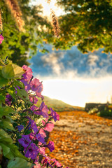 Early Sunrise at the Park