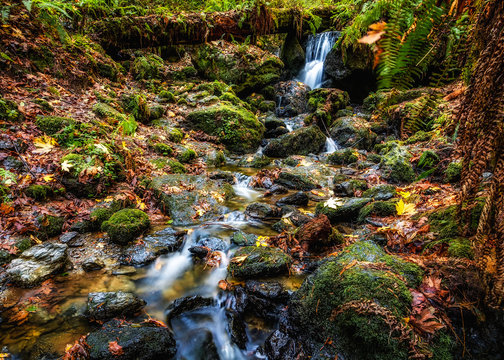 Tranquil Waterfall in Autumn