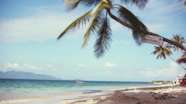 Exotic sandy beach and palm tree on sea coast at sunny day with blue sky. 1920x1080