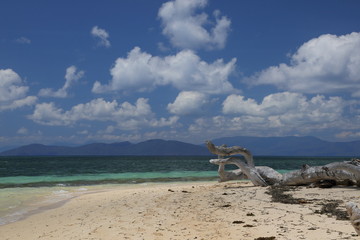  green island Cairns Australia
