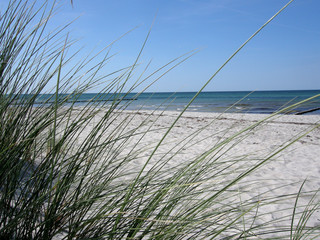 D&uuml;nen auf der Insel Hiddensee, R&uuml;gen