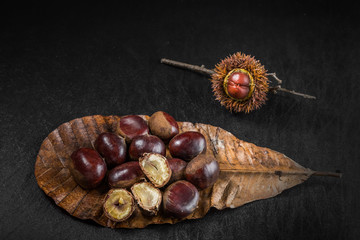 栗　秋の味覚　Chestnut autumn of taste