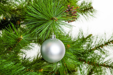 Christmas  ball hanging on pine branches.  christmas tree decoration