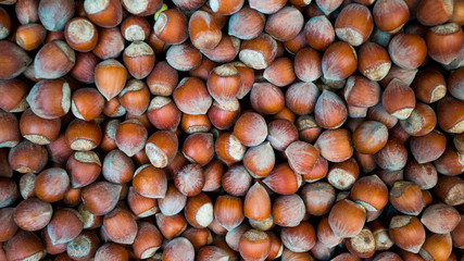 Hazelnuts. Food background. Stack of hazelnuts. Hazelnut background