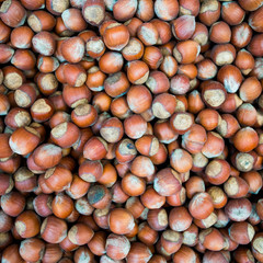 Hazelnuts. Food background. Stack of hazelnuts. Hazelnut background