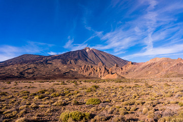 Teide National Park, Tenerife, Canary Islands, Spain