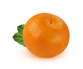One ripe Mandarin with leaves isolated on a white background.
