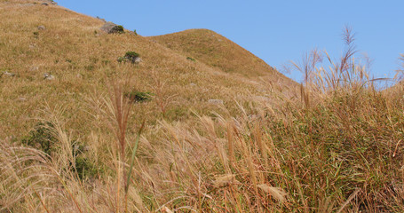 Beautiful Autumn sunset peak