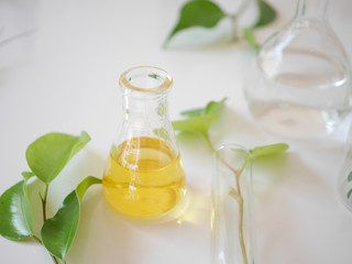 alternative medicine herb