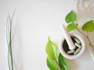 alternative medicine herb