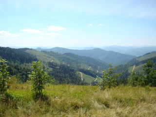 Fototapeta na wymiar Green mountain landscape of the Carpathians against the blue sky.