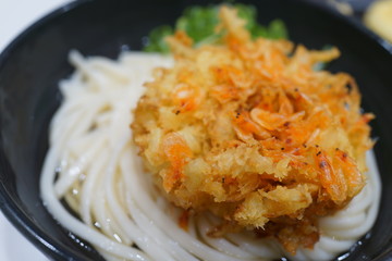 かき揚げうどん　天ぷら　和食　麺類　のどごし