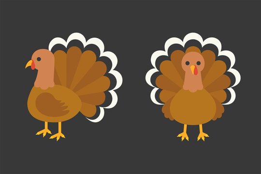 turkey in  front and side view, flat design illustration