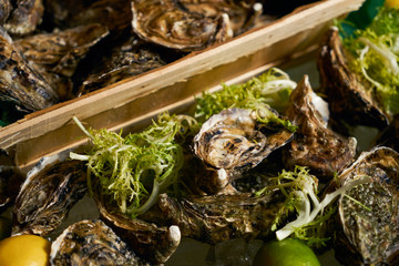 Fresh oyster with lemon lime and sea kale
