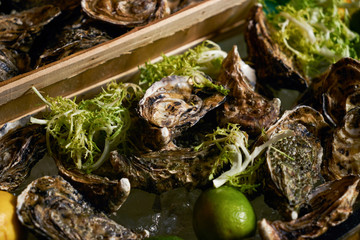 Fresh oyster with lemon lime and sea kale
