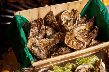 Fresh oyster with lemon lime and sea kale