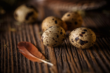 Quail eggs with feather on a rustic wooden table