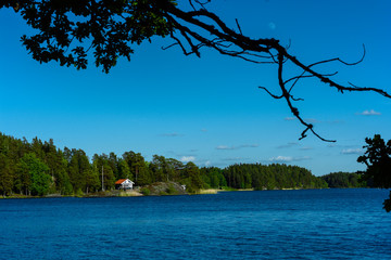 Pretty water picture in Sweden with the moon in the upper right corner and some branches in the foreground to give the picture a fantastic depth of field. Clear blue water and sky.           