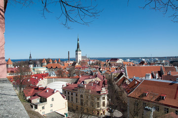 Fototapeta premium Tallinn Estonia panorama overlooking the city