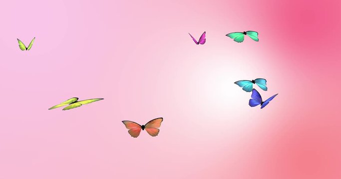 Looping Butterfly Animation. Colorful Butterflies flying amongst a pink romantic background. Loop-ready file.