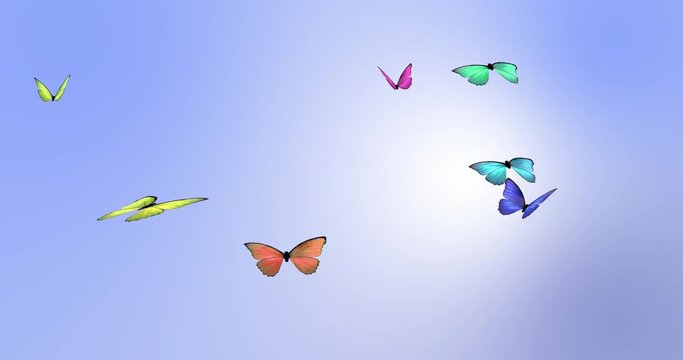 Looping Butterfly Animation. Colorful Butterflies flying with a blue sky background. Loop-ready file.