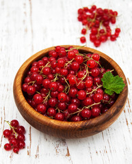 fresh red currant