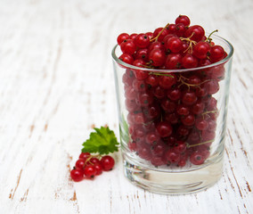 fresh red currant