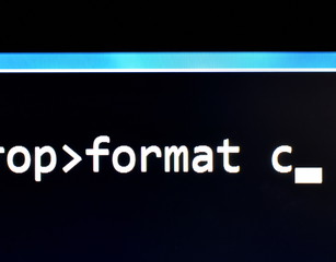 screenshot of the monitor with the command line format
