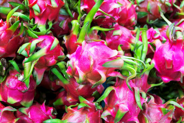 Fresh Dragon Fruits in the morning market.