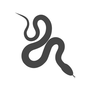 Reptile snake flat icon for animal apps