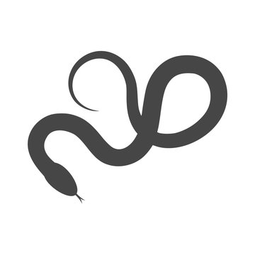 Reptile snake flat icon for animal apps