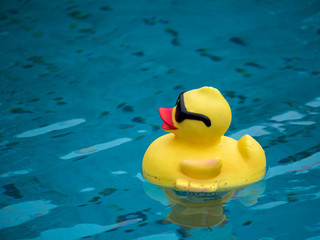 Rubber ducky with sun glasses floating on pool water