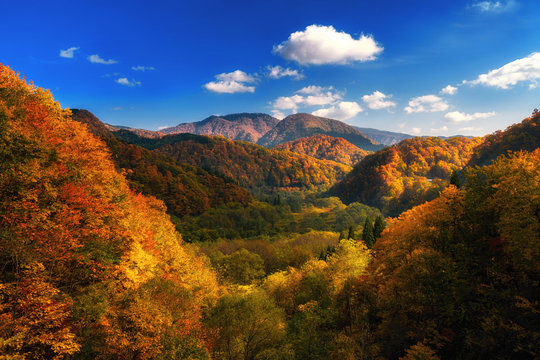 Autumn Colorful Mountain In Tohoku, Japan