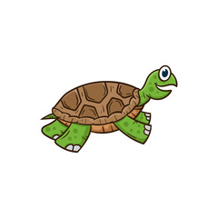 turtle cartoon vector illustration cute