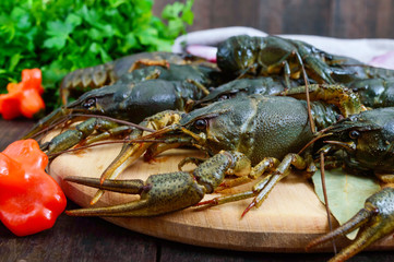 Live crayfish on a dark wooden background. Close up