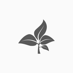 leaf, sprout icon