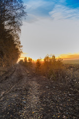 Sunset over the field