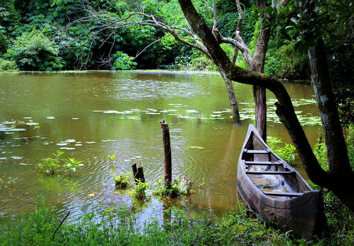 wooden canoe on a small lake