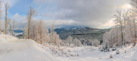 Winter landscape of the Carpathian Mountains