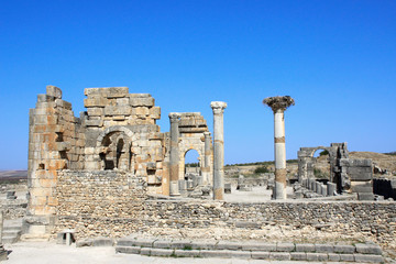 Fototapeta premium View of the Basilica in Volubilis, Morocco