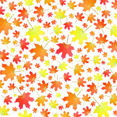 Vector background of autumn maple leaves
