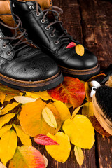 Waterproof  Black boots on wooden background with autumn leaves polishing equipment, brush and polish cream.
