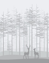 Vector illustration trees. Landscape background with forest