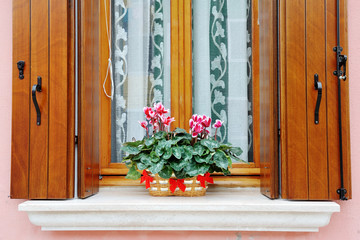 Fototapeta na wymiar Plant on the windowsill of a house in Burano, Venice