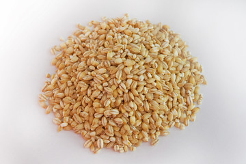 Barley on a white background.