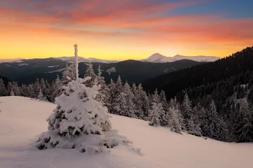 Tragetasche Dramatic wintry scene with snowy trees. © Ivan Kmit